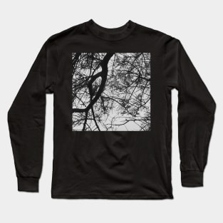 Bare Tree Branches First Flowers Long Sleeve T-Shirt